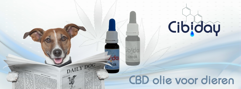 CBD olie voor dieren